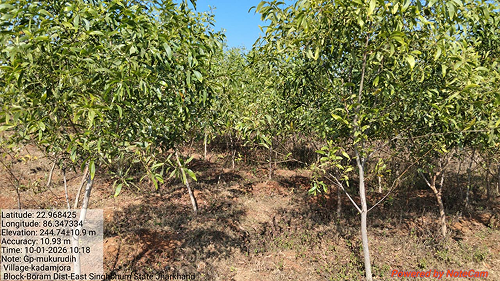 Impact Project Image